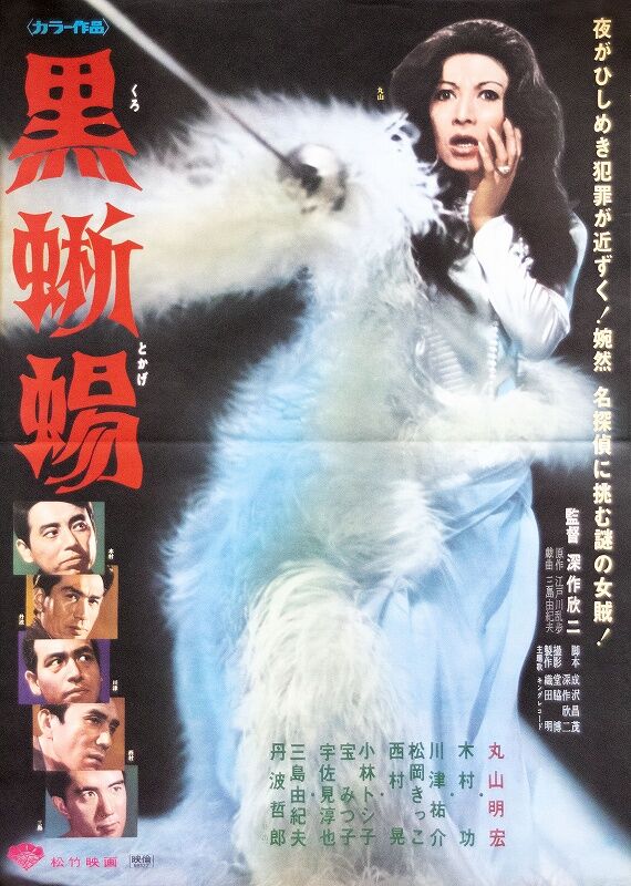 映画 黒蜥蜴 : ハイキングさ あべじゃ