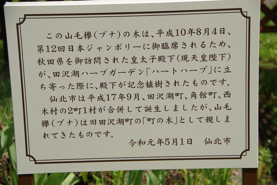 田沢湖ハーブガーデン ハイキングさ あべじゃ