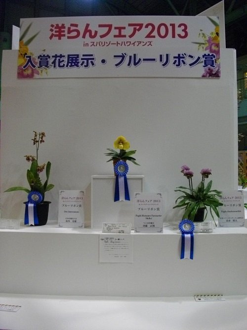イメージ 15