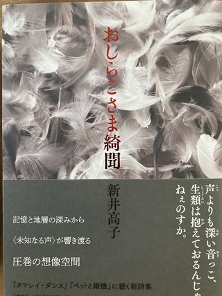 �����һ���