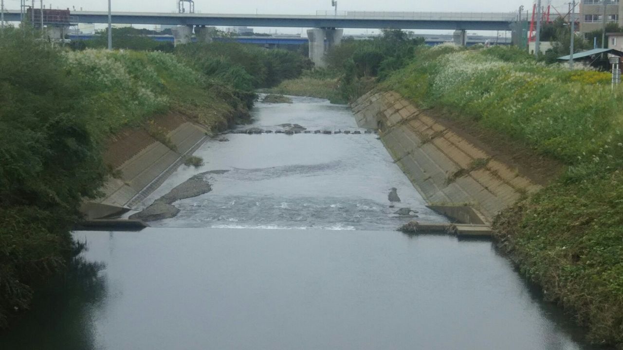 Tomisanpo Mini 戸沢橋周辺 Tomtomﾉpoem Theater