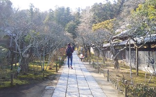 Tomisanpo 映画 駆込み女と駆け出し男 の舞台 東慶寺 Tomtomﾉpoem Theater