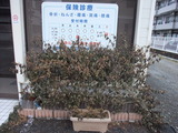 DSCF3958