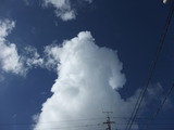 DSCF4568