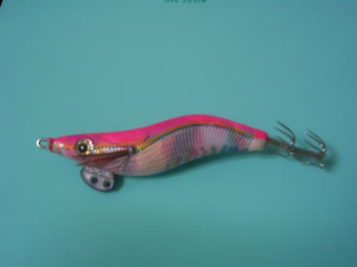 釣れないエギング ダイアリー 沖縄ブログ