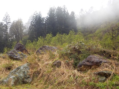 DSCN1925