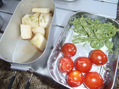 P5040027