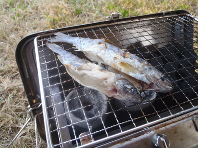 P5040026