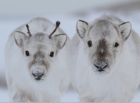 スクリーンショット 2020-05-13 16.35.50