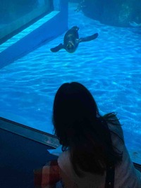 IMG_1250