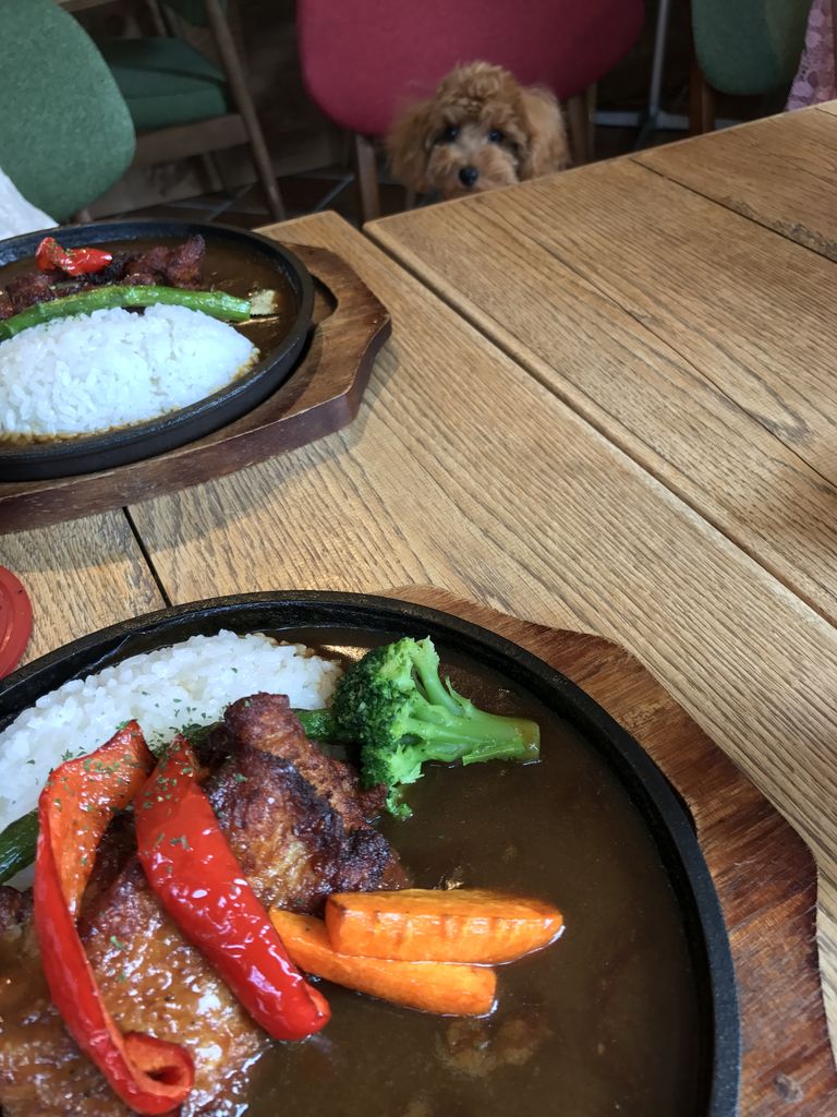 デックス東京ビーチのドッグカフェで食事 自由人のblog自宅で仕事を30年近く経ちました デックス東京ビーチのドッグカフェで食事 自由人のblog自宅で仕事を30年近く経ちました