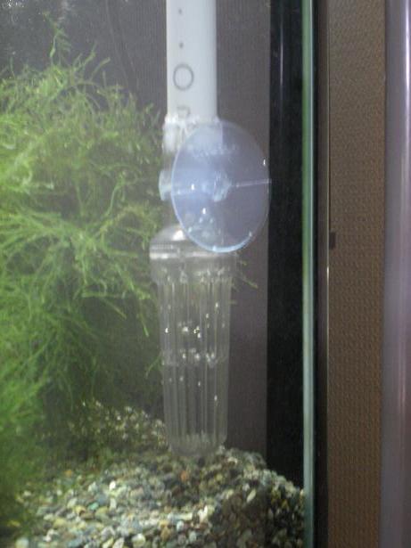 ラクラク水換えちゃん 水遊日和