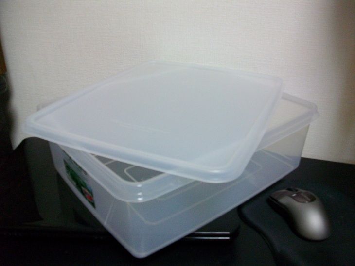 タッパ ぞくぞく 水遊日和