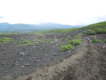 DSCN0961