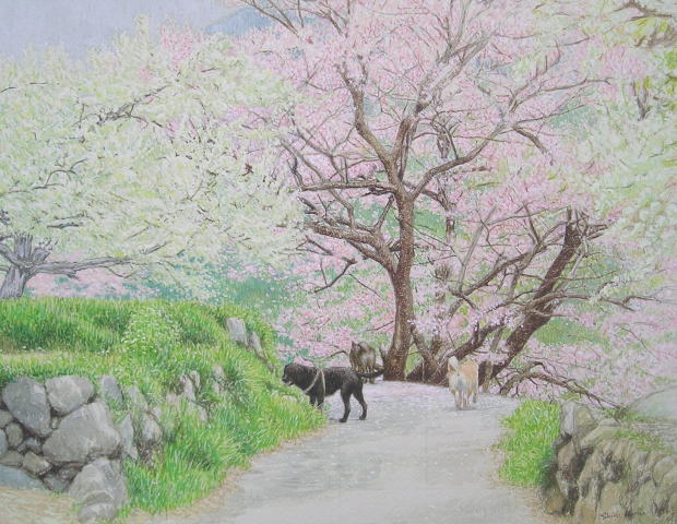 桜にスモモの花が混ざったら 犬の居る風景 水彩画 デッサン画は楽しく 絵画と雑文