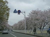 0331群馬17