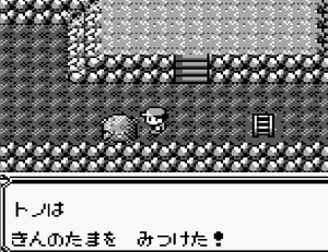43 ふたごじま B2F 下の岩 きんのたま