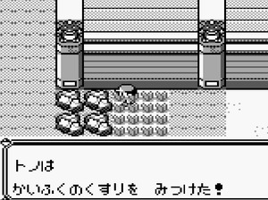 48 23番道路 クリムゾンバッジ見せた後岩 かいふくのくすり