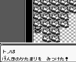 39　ポケモン屋敷3Ｆまんたんのくすりの上　げんきのかたまり