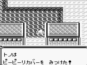 ⑫クチバシティ 大好きクラブ隣の民家なみのり ピーピーリカバー