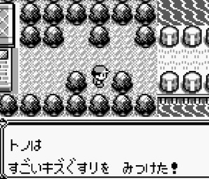 ⑯12番道路 11番道路とのゲート すごいキズぐすり