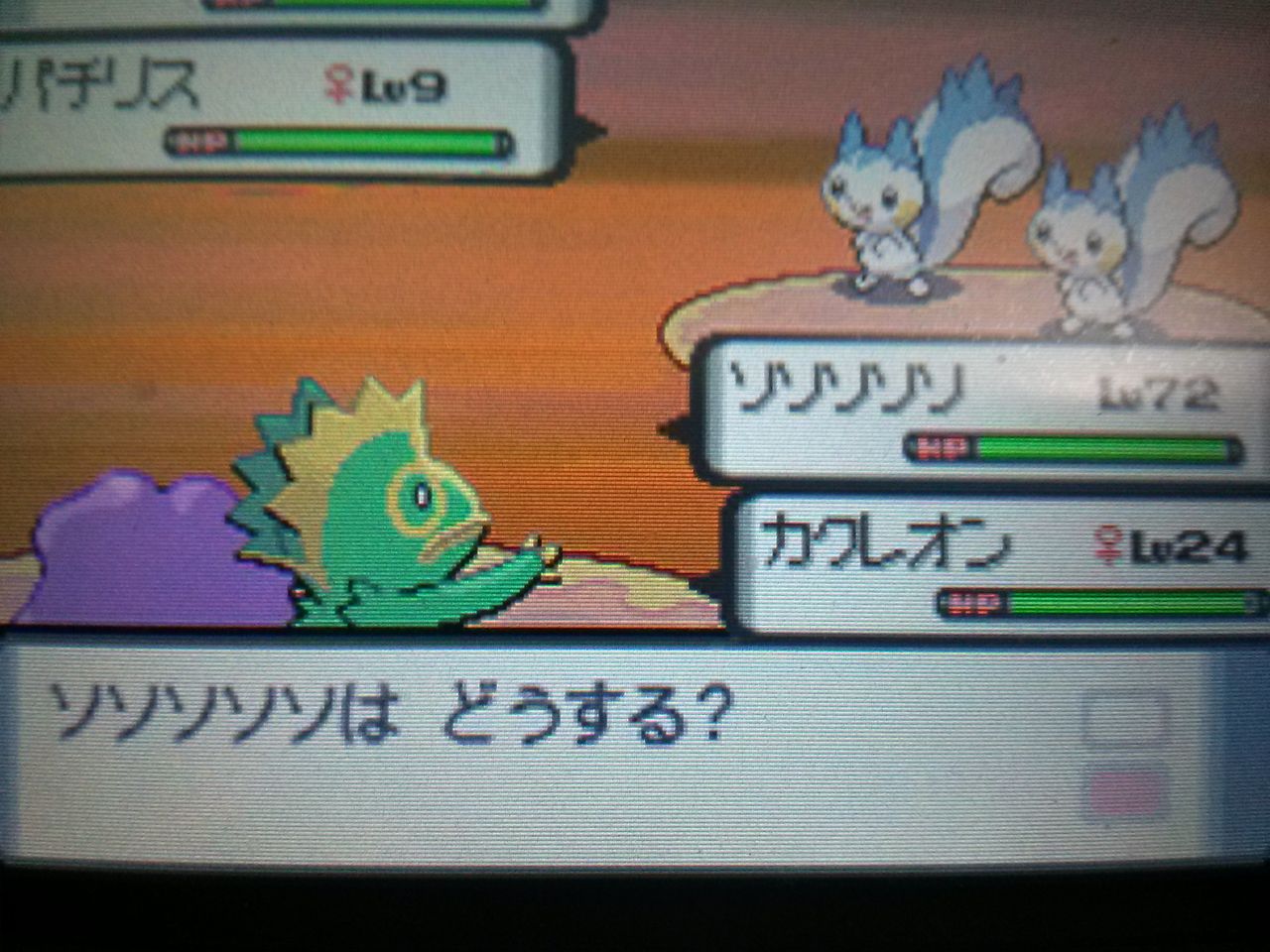 ダイヤモンド パール アイテム増殖 大人でもポケモン好き