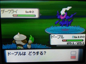 大人でもポケモン好き バグその他