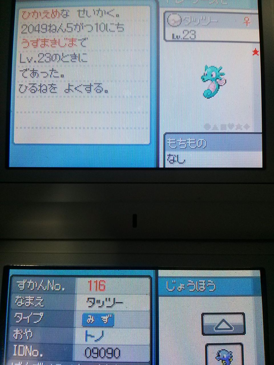 Hgss 乱数調整 野生乱数 控えめ6v タッツー 色違い 大人でもポケモン好き Hgss 乱数調整 野生乱数 控えめ6v タッツー 色違い 大人でもポケモン好き