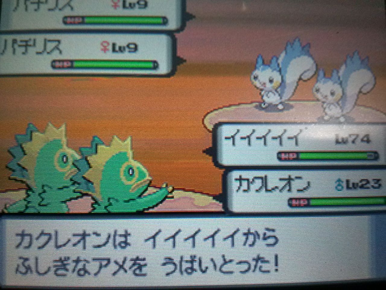 大人でもポケモン好き 攻略