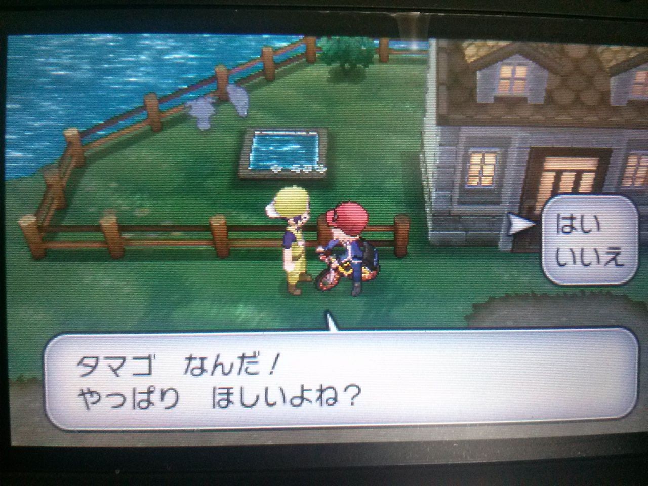 Xy Oras 国際孵化 固定孵化 大人でもポケモン好き