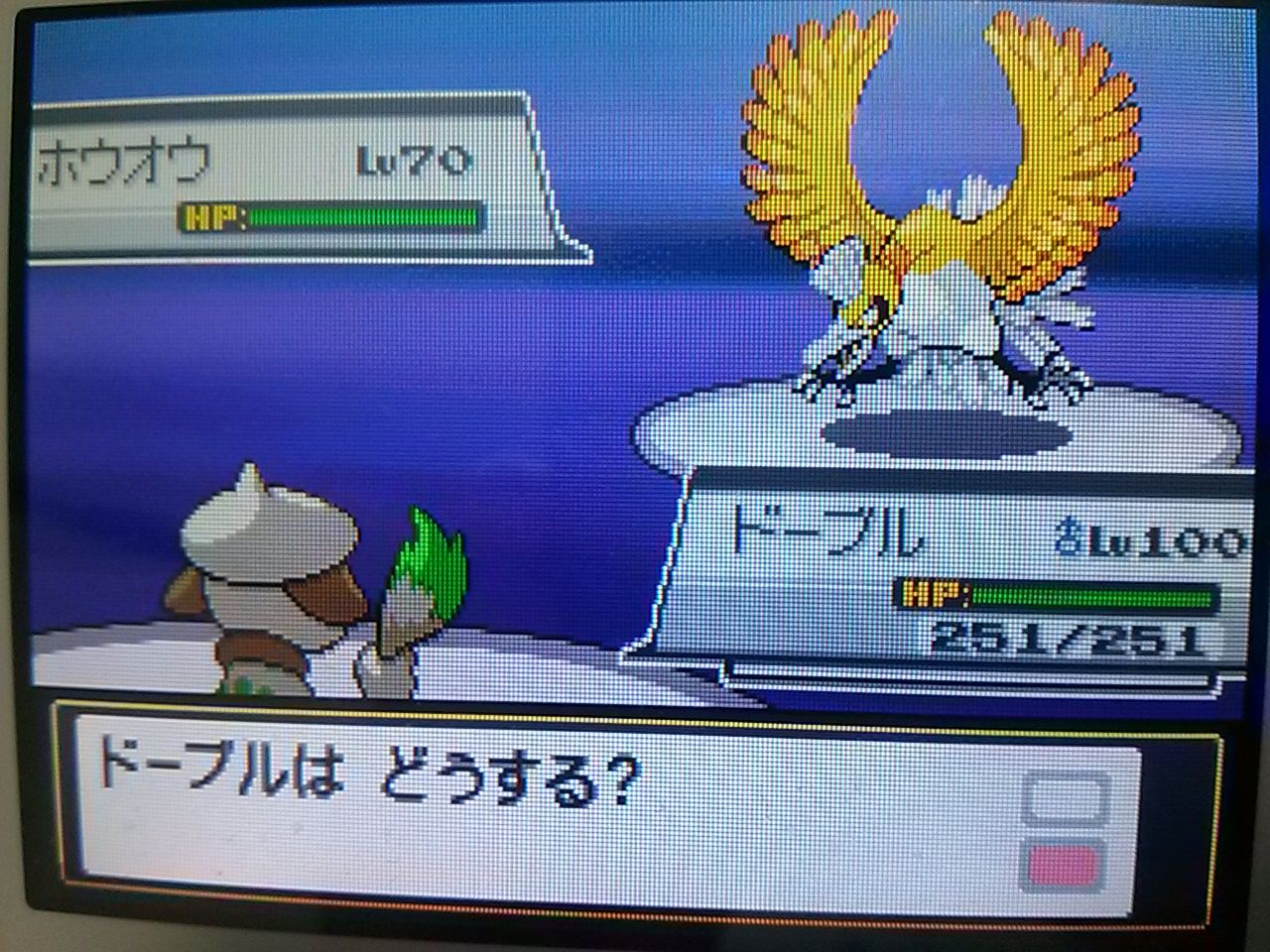 Hgss 乱数調整 色違い 陽気5v ホウオウ グラードン ミュウツー レックウザ 大人でもポケモン好き