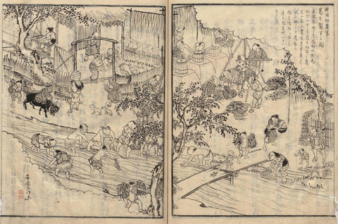 勝浦の葛布 洗い 讃岐国名勝図会