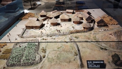 群馬県黒井峯西組遺跡の屋敷地4