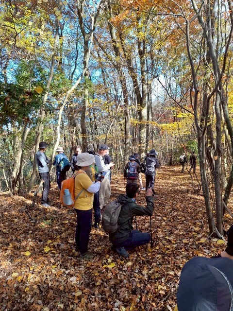 LINE_ALBUM_てくてく散歩_251124_41