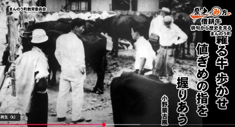 借耕牛　小野蒙古風2