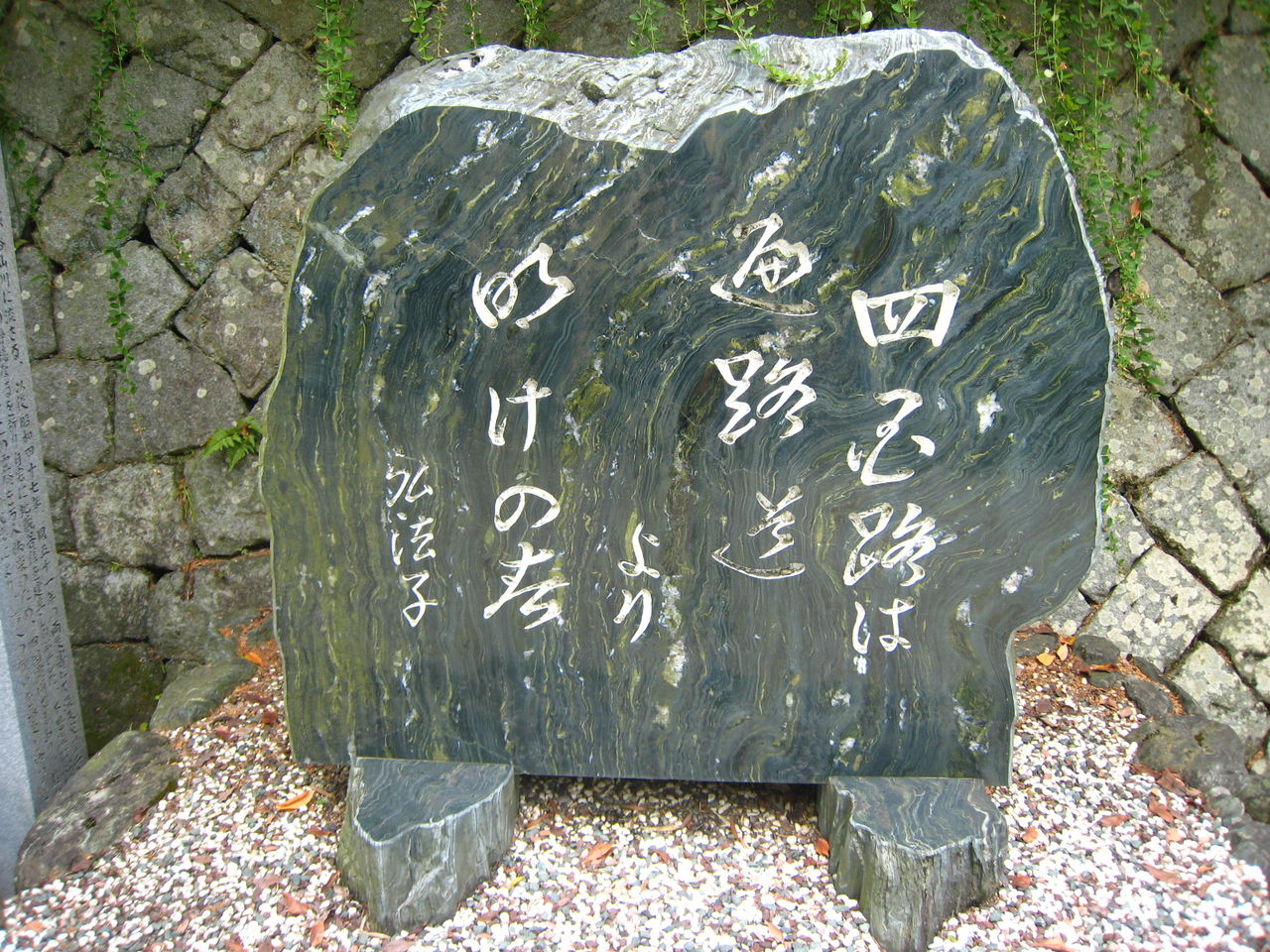 イメージ 6