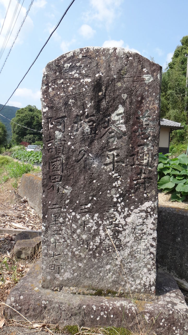 イメージ 4