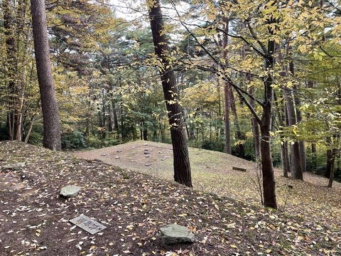 中寺廃寺　Ａ　本堂から塔跡