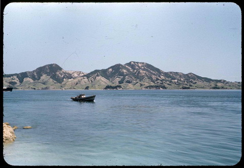 1952年三原沖の島々ははげ山だった。