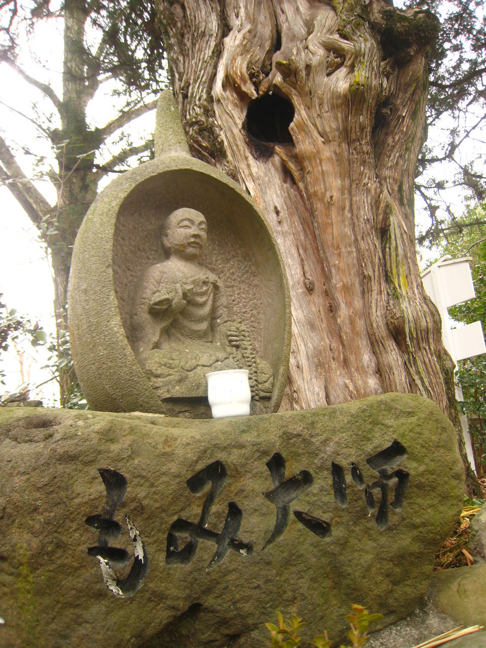 イメージ 2