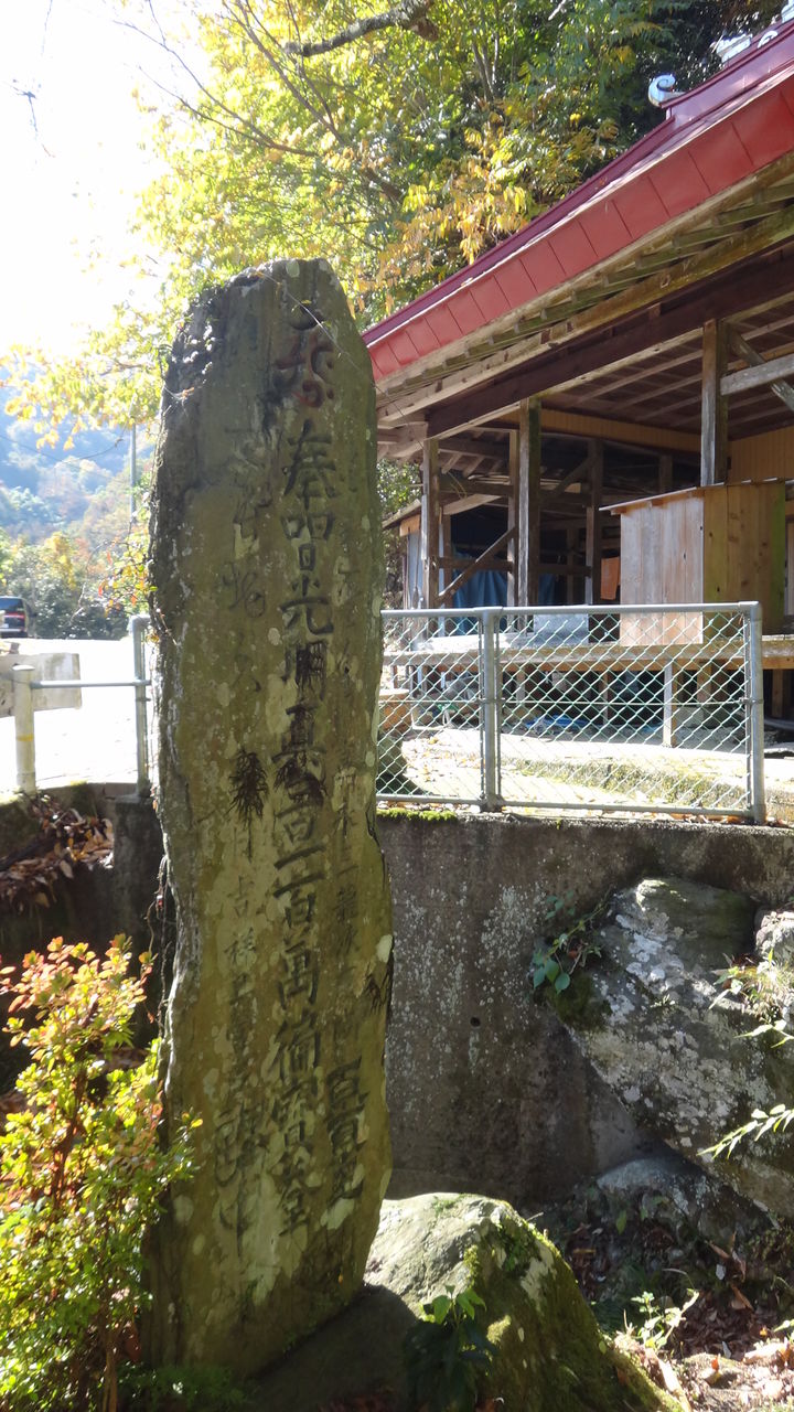 イメージ 12