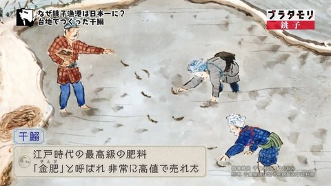 金肥 干鰯