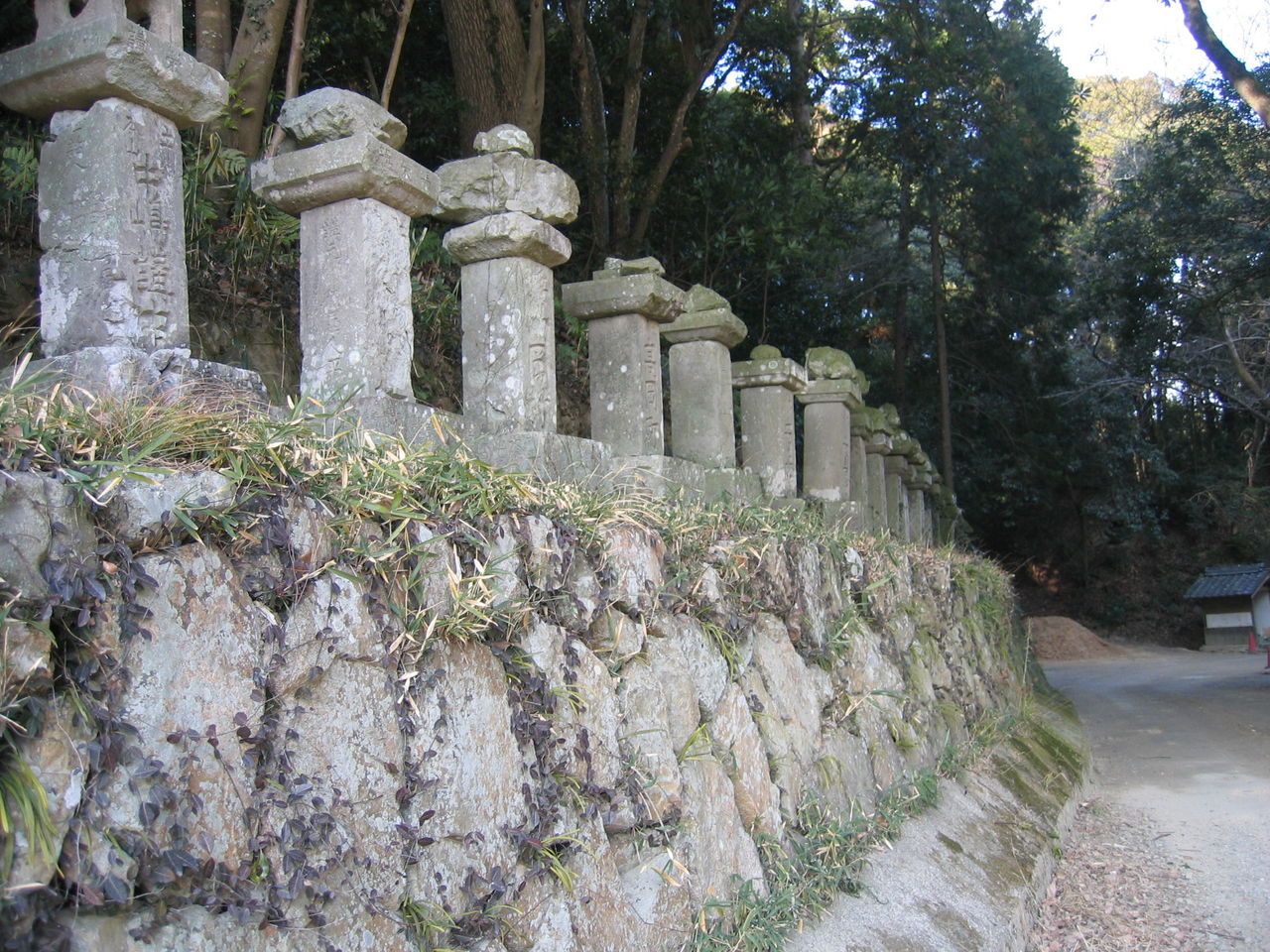 イメージ 12