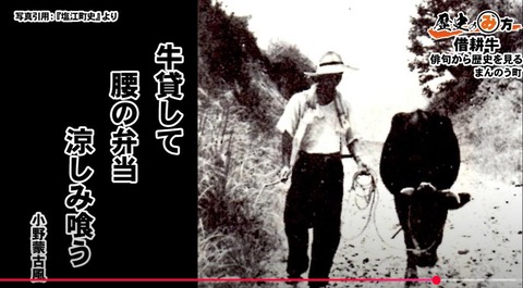 借耕牛　小野蒙古風4