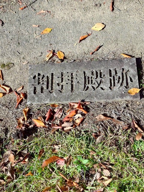 LINE_ALBUM_てくてく散歩_251124_51