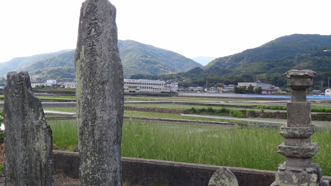 イメージ 8