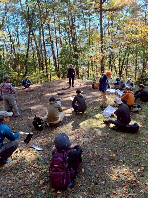 LINE_ALBUM_てくてく散歩_251124_45