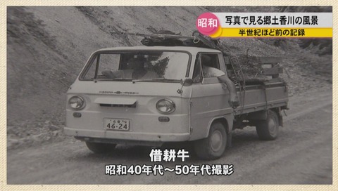 トラックに乗る借耕牛