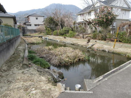 香西氏佐料城跡 内堀