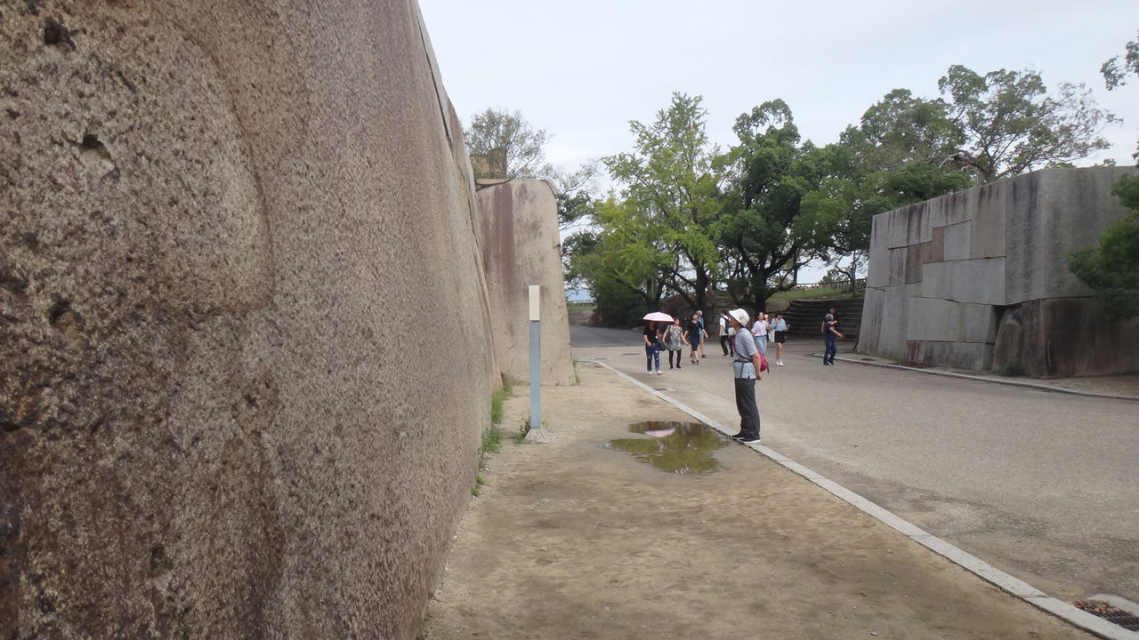 イメージ 6